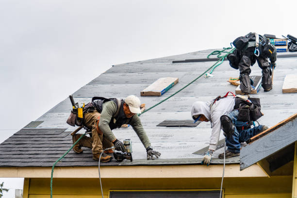 Professional Storm Damage Roof Repair technician working in Conway, NC